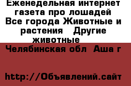 Еженедельная интернет - газета про лошадей - Все города Животные и растения » Другие животные   . Челябинская обл.,Аша г.